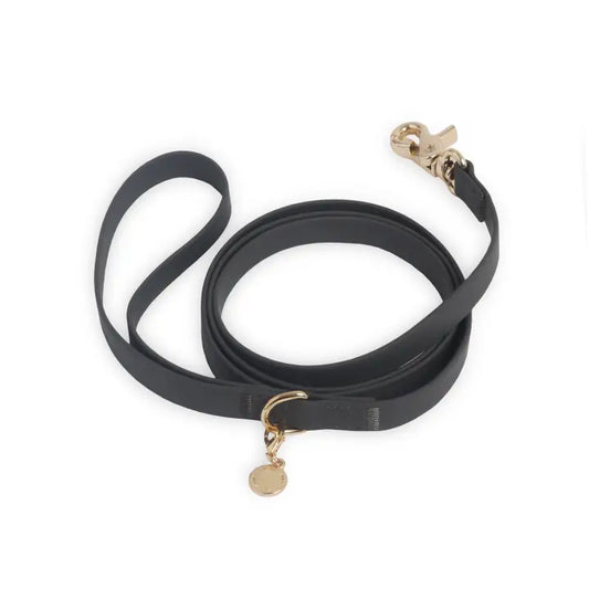 Ember Black Dog Leash - 6ft
