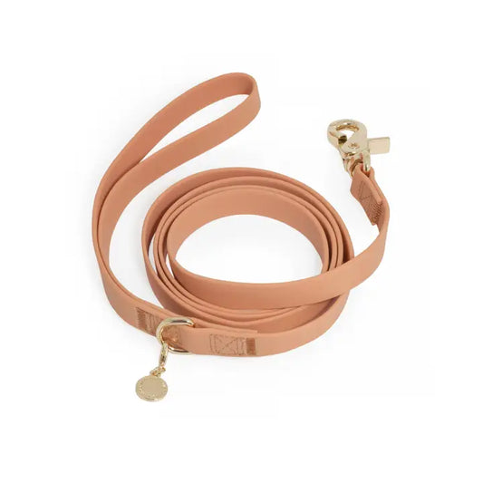 Chai Brown Dog Leash - 6ft