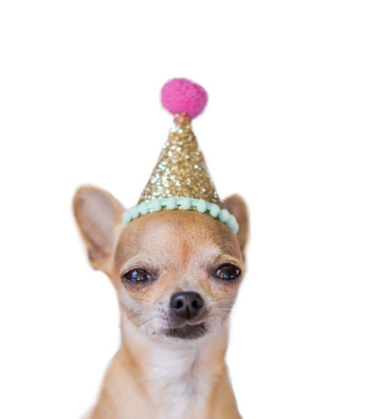 Pet Party Hat - Small