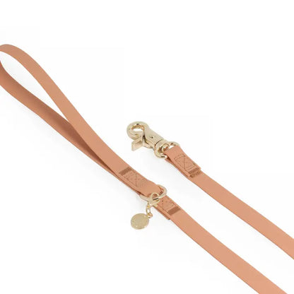 Chai Brown Dog Leash - 6ft