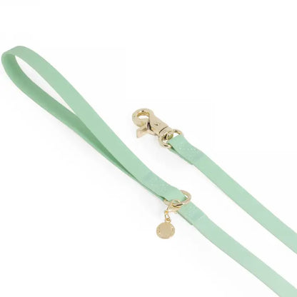Pistachio Green Dog Leash - 5ft