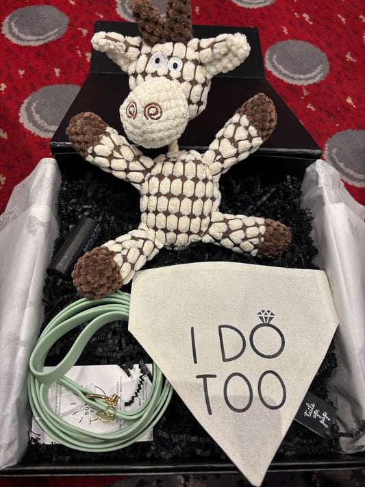 Dog Wedding Box - 3 item