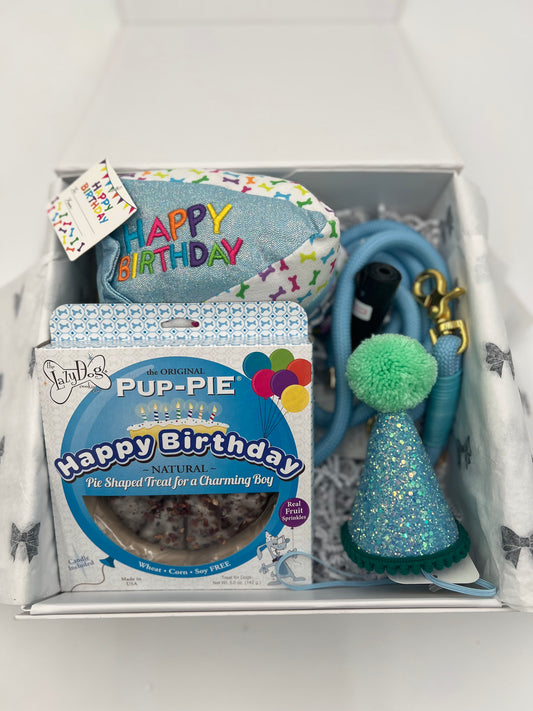 Dog Birthday Box - Blue