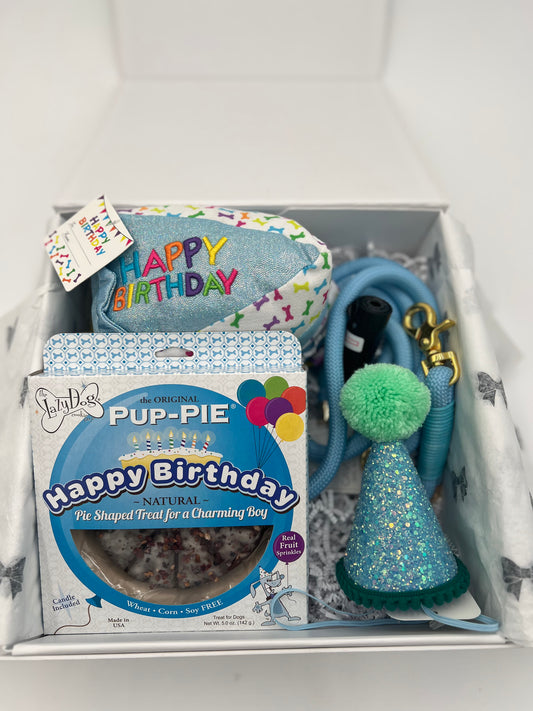 Gold Birthday Box For Dog