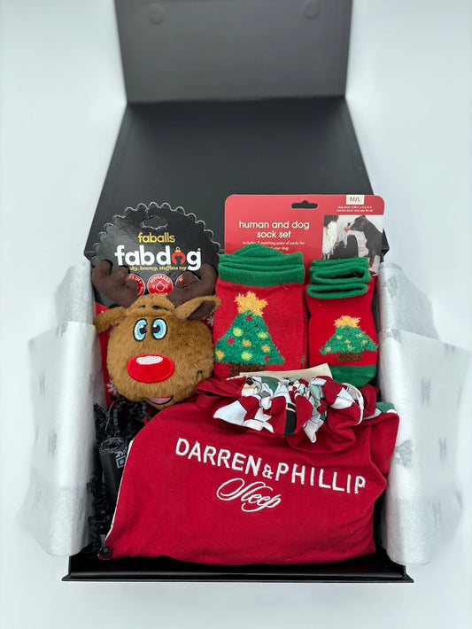 Silver Christmas Dog Box