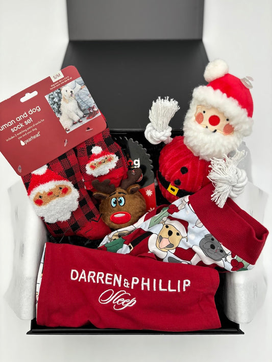 Gold Christmas Dog Box