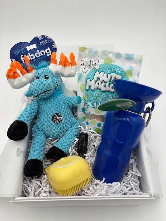 Gold Hanukkah Dog Box #2