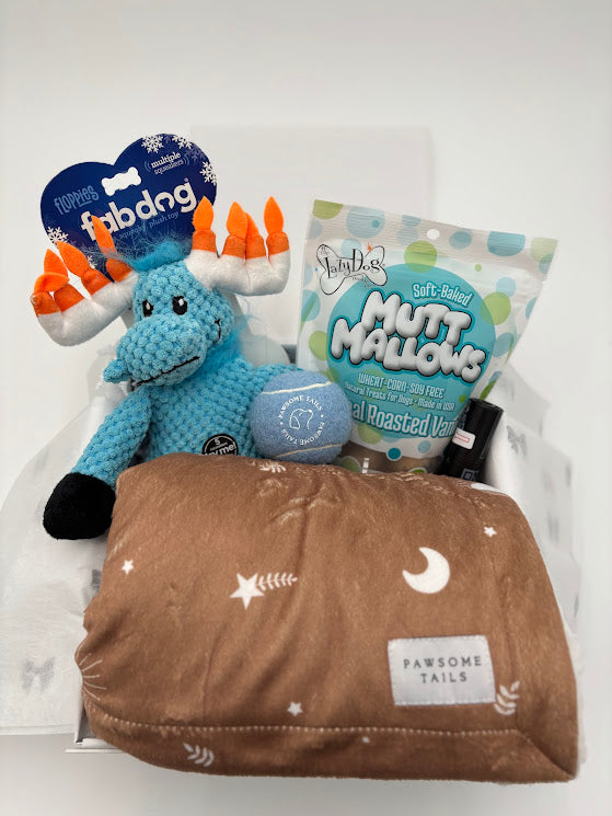 Gold Hanukkah Dog Box