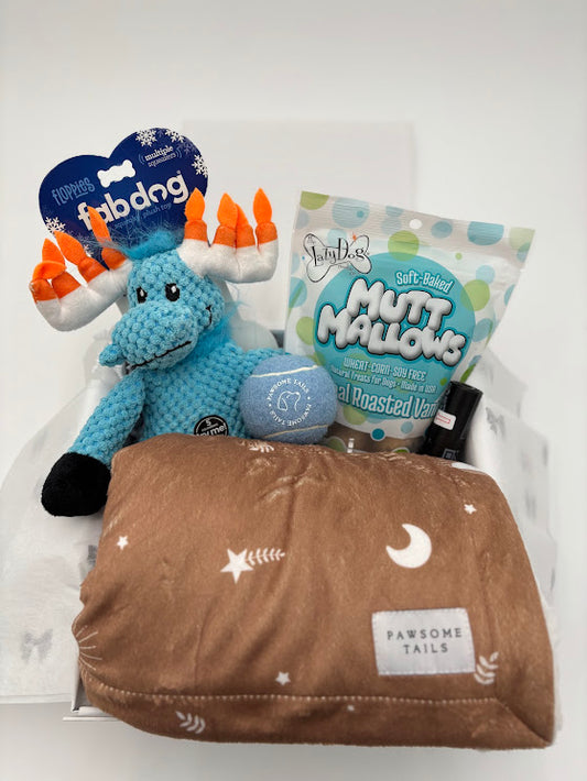 Gold Hanukkah Dog Box