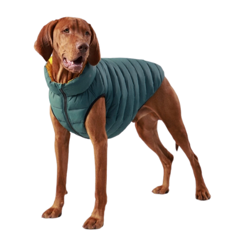 Hugo and Hudson Dog Puffer Jacket - Forest Green and Gold
