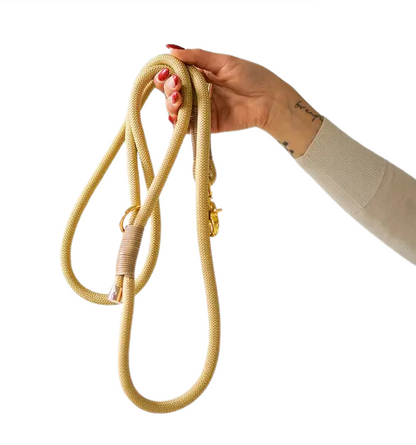 Braided Nylon Rope Leash - Gold