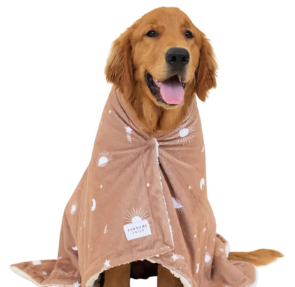 Gold Hanukkah Dog Box