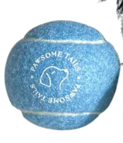 Gold Hanukkah Dog Box