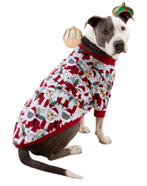 Darren & Phillip Dog Tee - Santa Paws