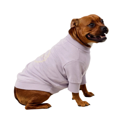 Darren & Phillip Dog Sweatshirt - Lilac