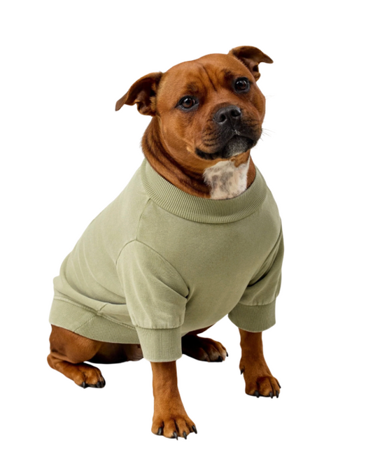 Darren & Phillip Dog Sweatshirt - Olive