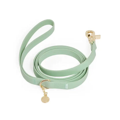 Pistachio Green Dog Leash - 5ft