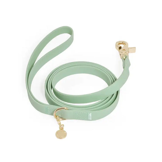 Pistachio Green Dog Leash - 5ft